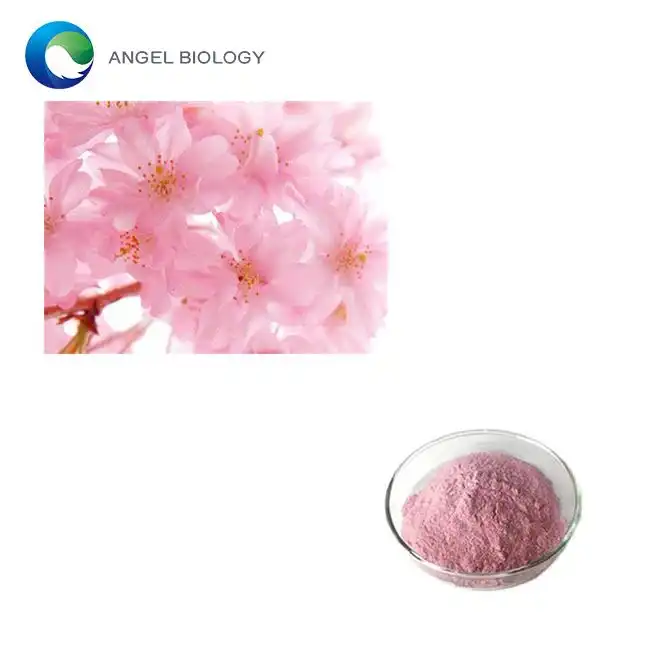 Sakura Extract Powder